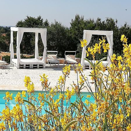 צ'יסטרנינו Marinelli Guest House מראה חיצוני תמונה