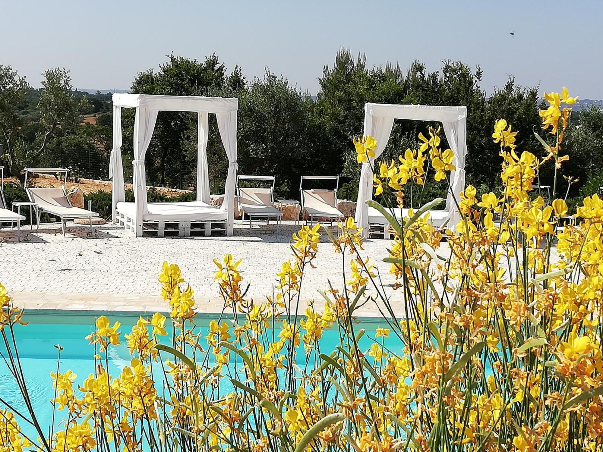 צ'יסטרנינו Marinelli Guest House מראה חיצוני תמונה